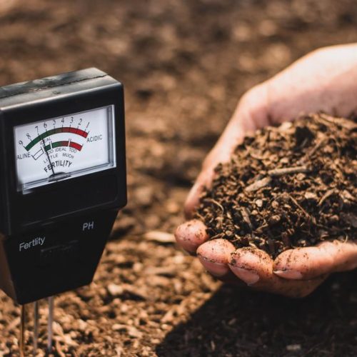 soil health