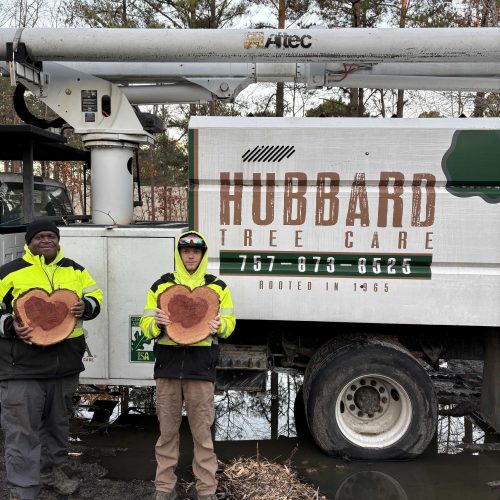 hubbard tree care team