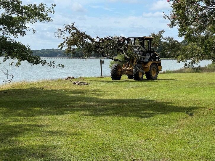 debris cleanup