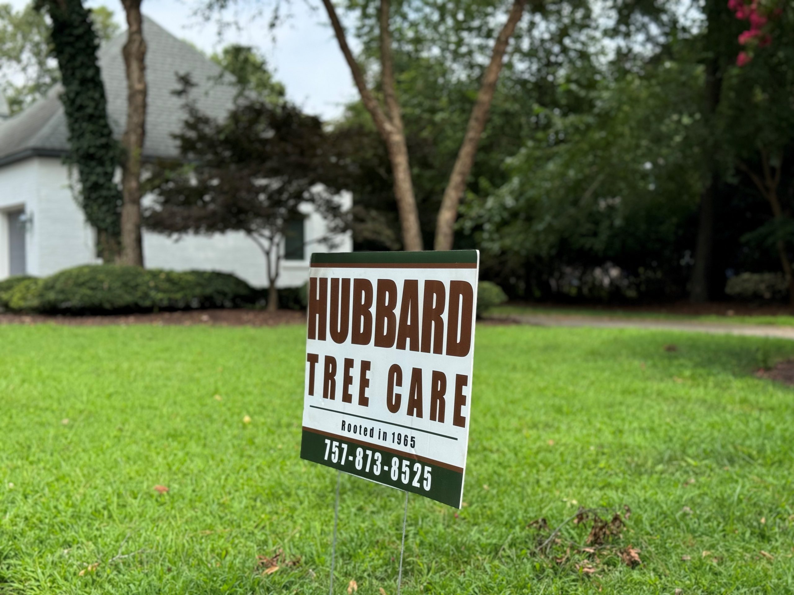 hubbard tree service in hampton