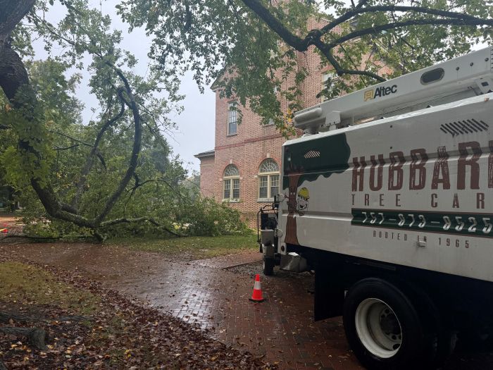 tree care