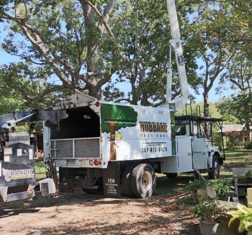 tree service poquoson