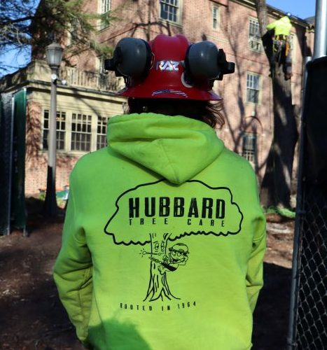 hubbard tree care