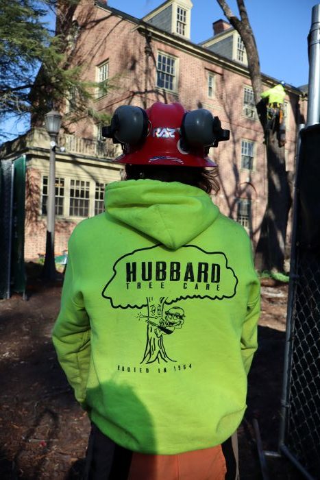 hubbard tree care